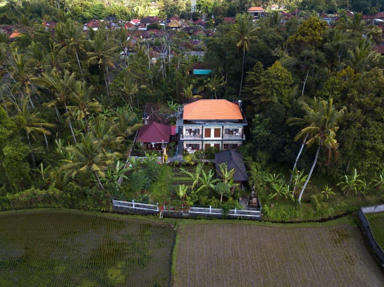 Demank Hidden Guesthouse Ubud Zewnętrze zdjęcie